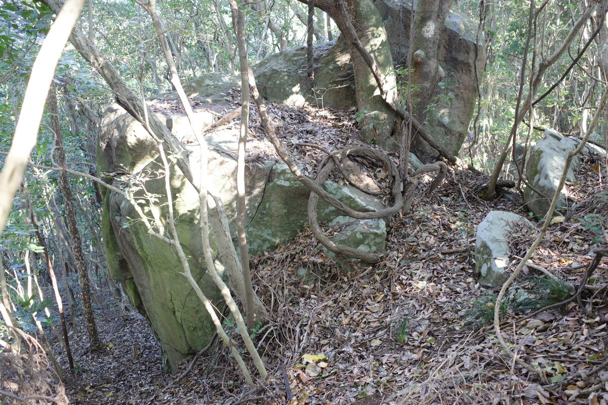 f:id:Yagyu8bei:20211128130526j:plain