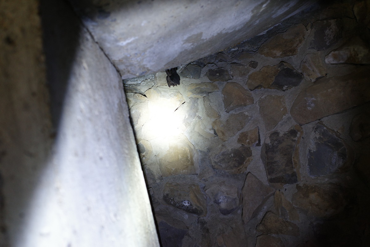 f:id:Yagyu8bei:20211128131148j:plain