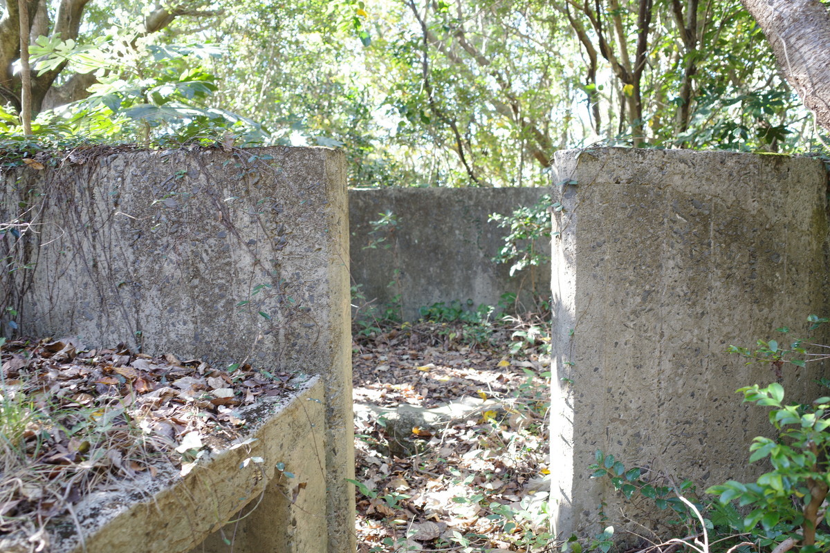 f:id:Yagyu8bei:20211128131217j:plain