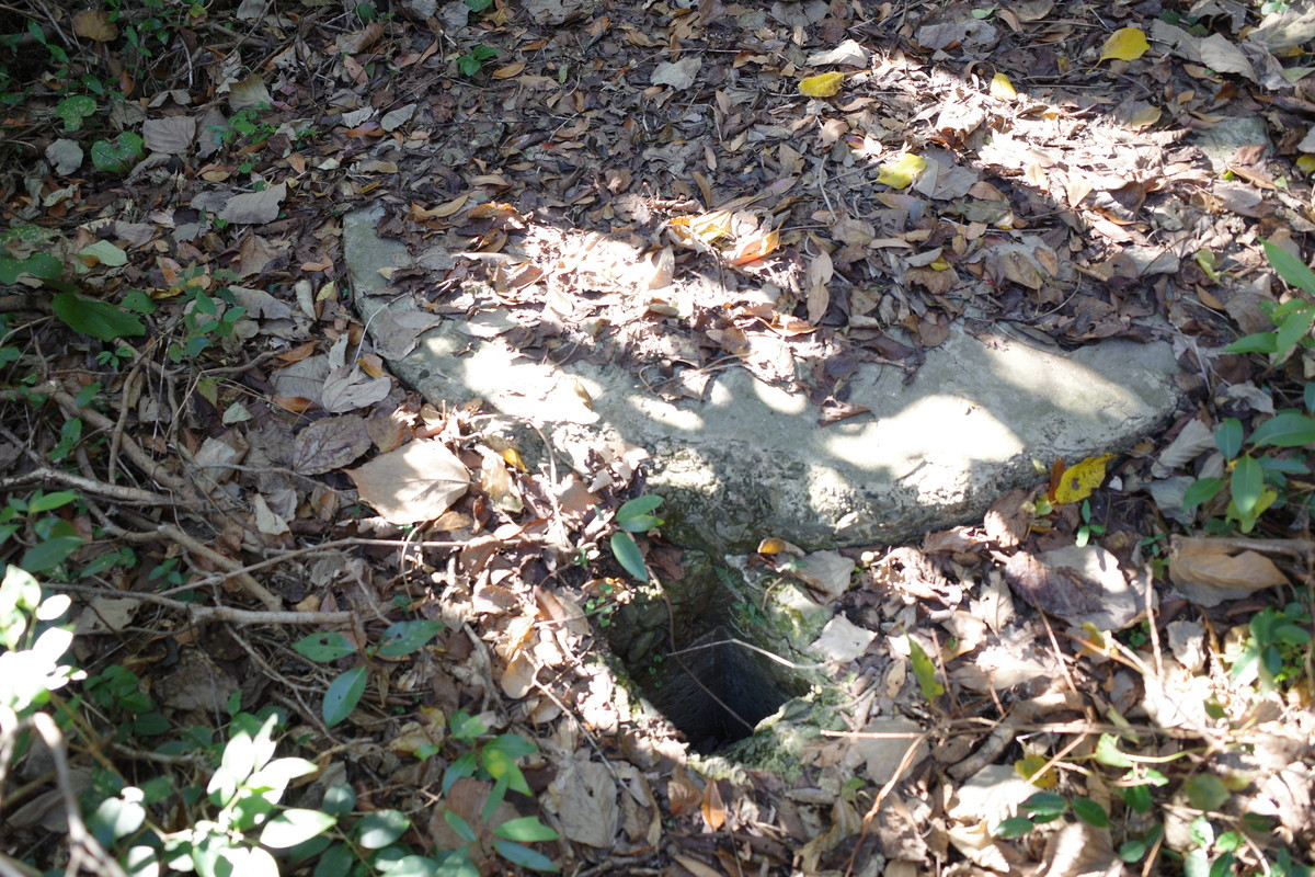 f:id:Yagyu8bei:20211128131229j:plain