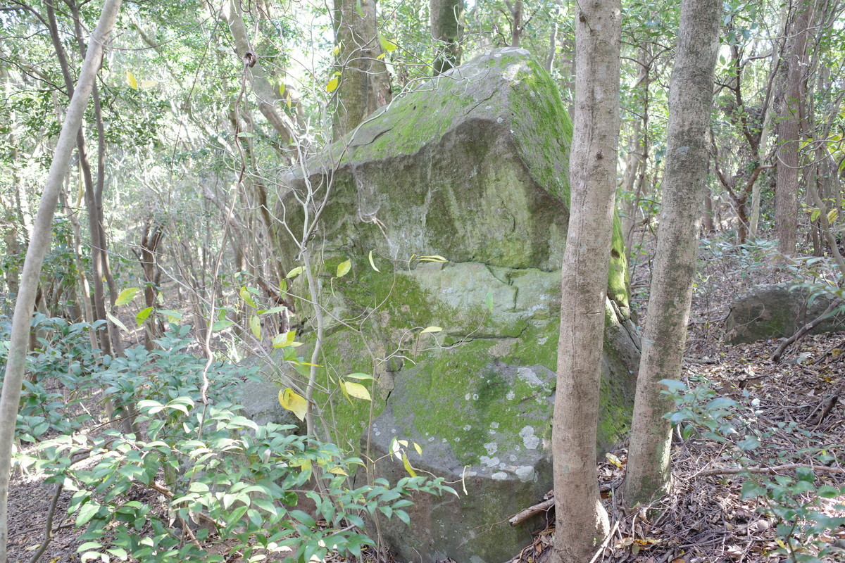 f:id:Yagyu8bei:20211128131608j:plain