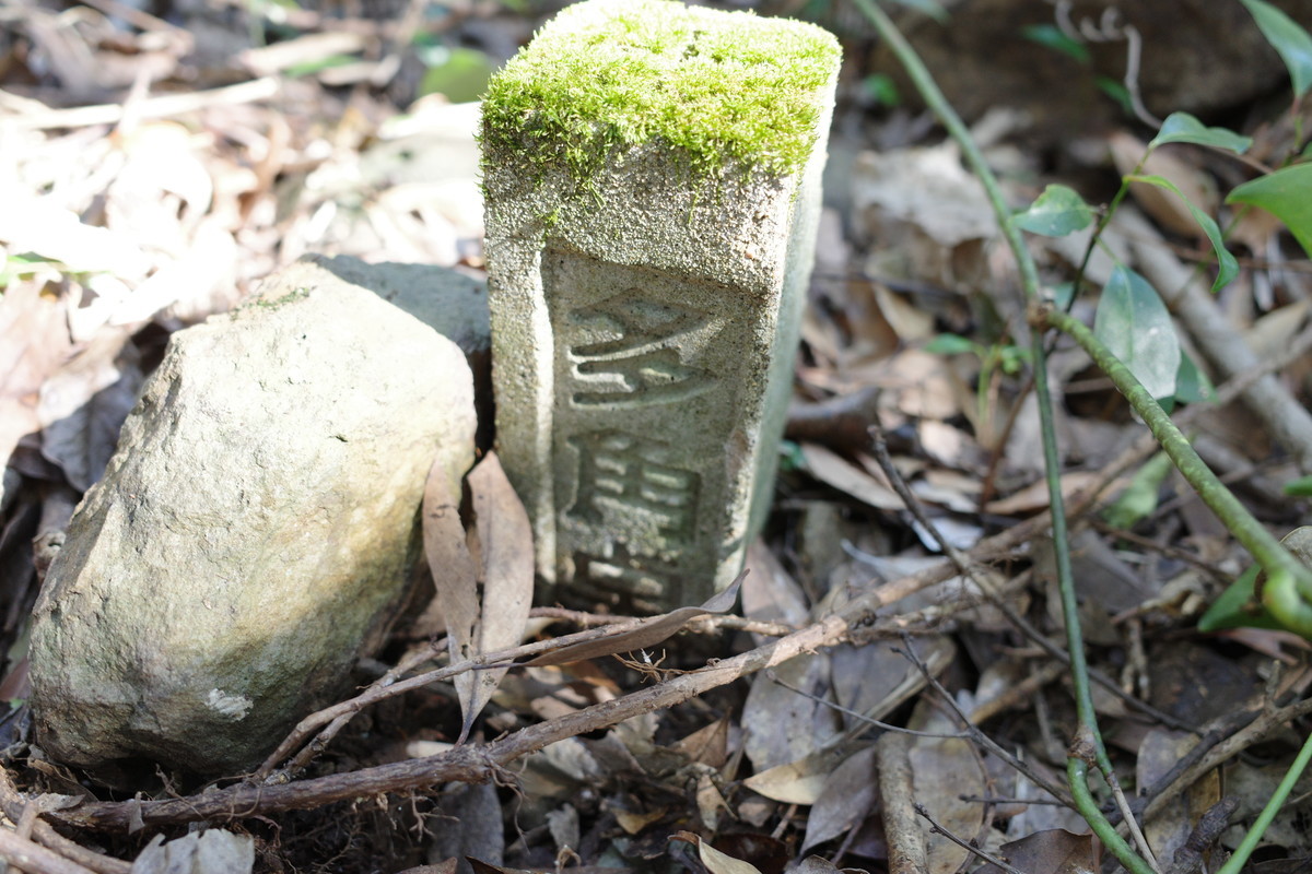 f:id:Yagyu8bei:20211128131957j:plain