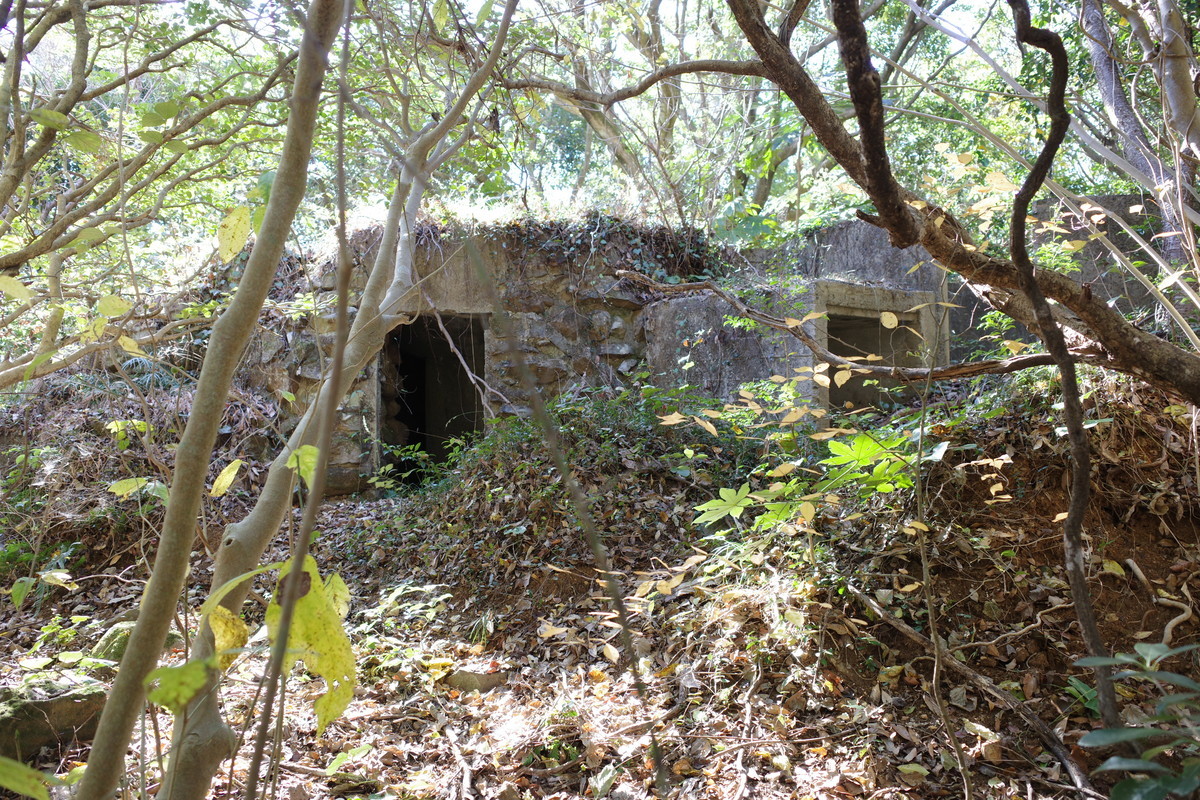 f:id:Yagyu8bei:20211128132047j:plain