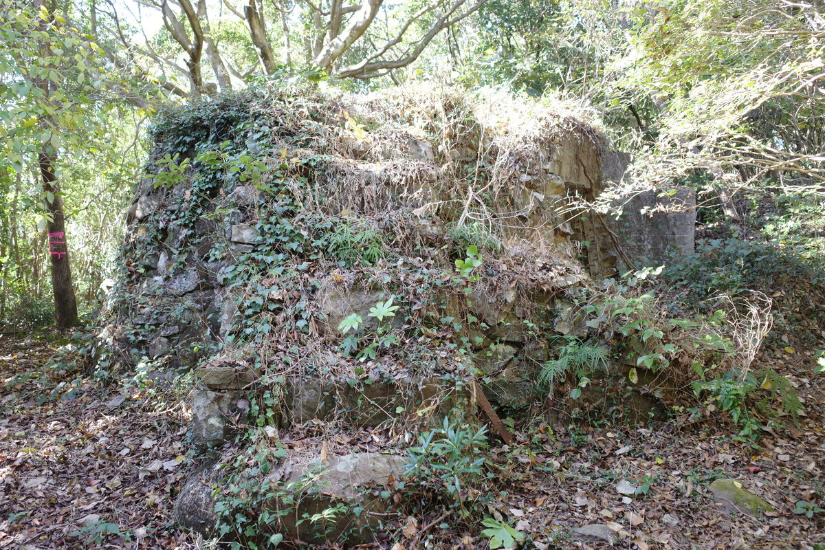 f:id:Yagyu8bei:20211128132111j:plain