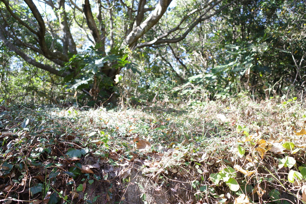 f:id:Yagyu8bei:20211128132120j:plain