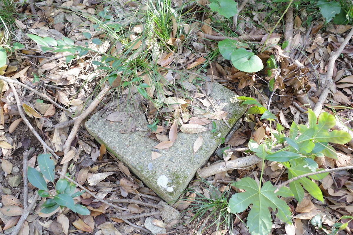 f:id:Yagyu8bei:20211128132150j:plain