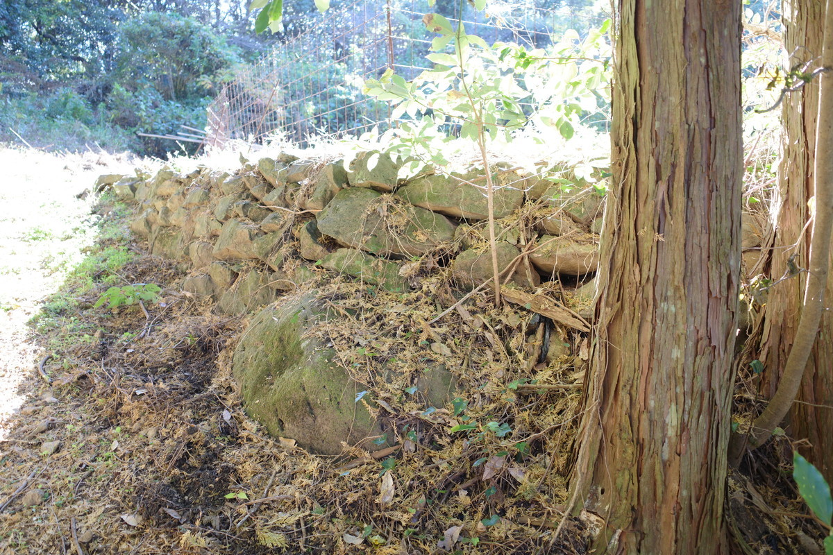 f:id:Yagyu8bei:20211128134309j:plain