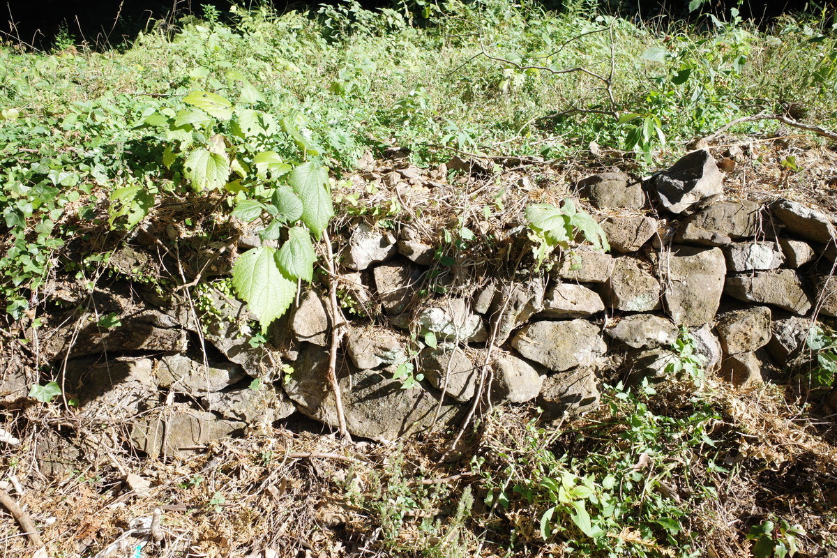 f:id:Yagyu8bei:20211128134324j:plain