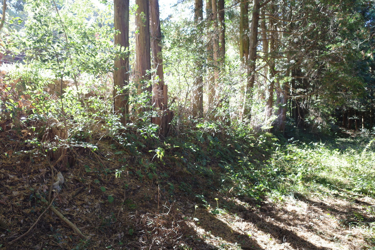 f:id:Yagyu8bei:20211128134340j:plain