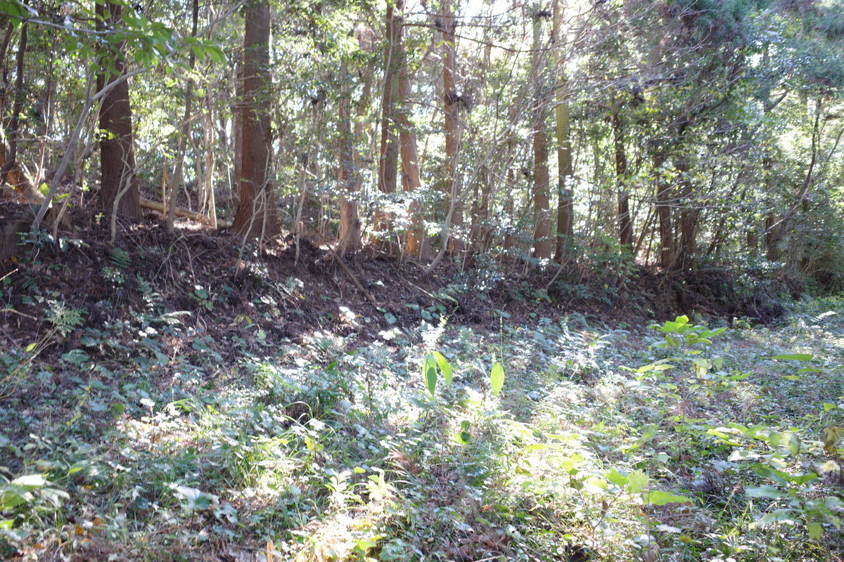 f:id:Yagyu8bei:20211128134430j:plain