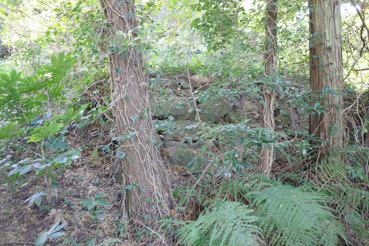 f:id:Yagyu8bei:20211128134935j:plain