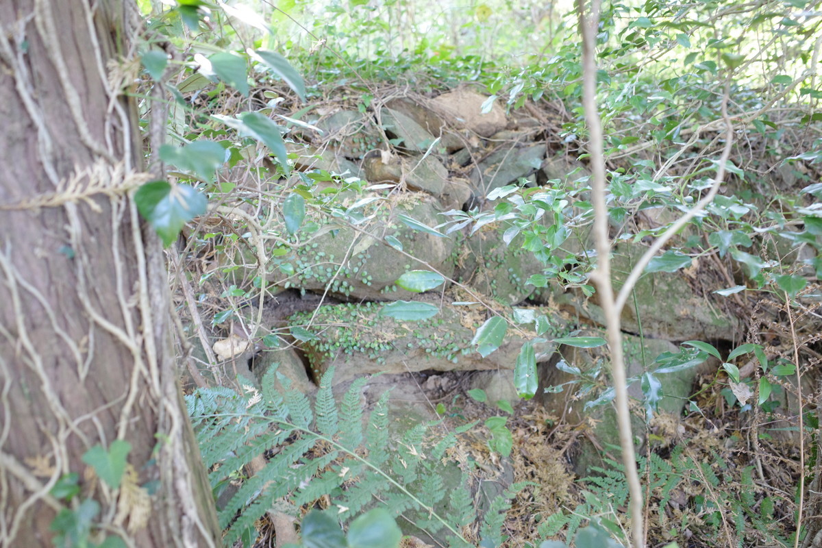 f:id:Yagyu8bei:20211128134939j:plain