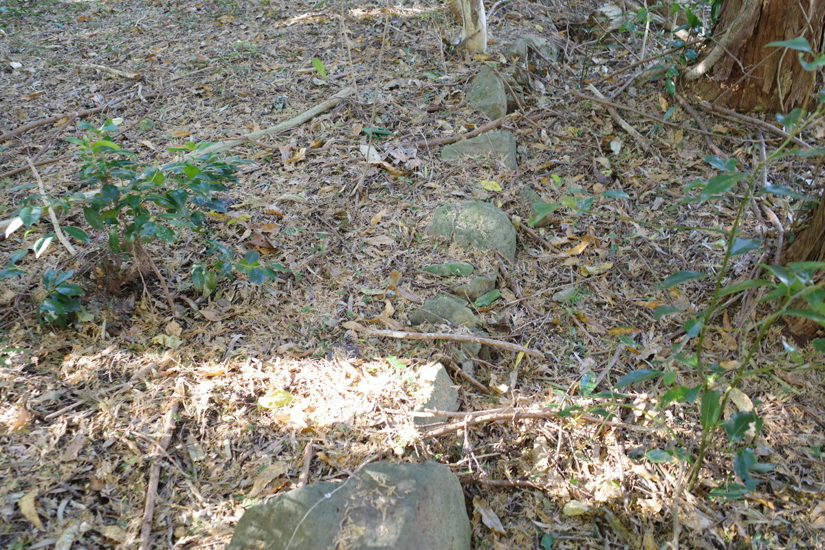 f:id:Yagyu8bei:20211128135019j:plain