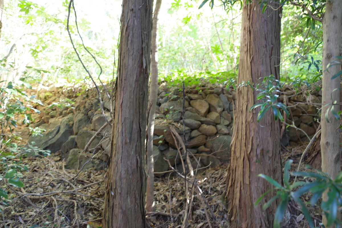 f:id:Yagyu8bei:20211128135032j:plain