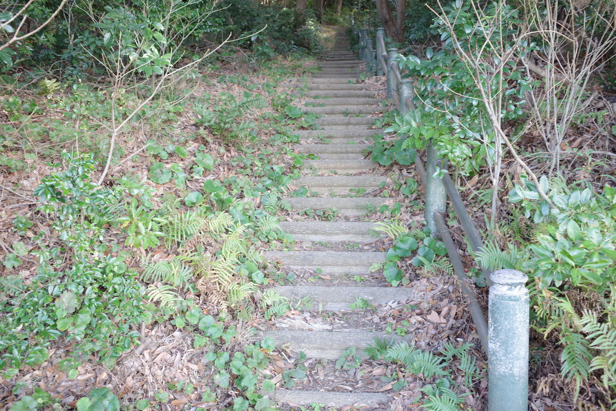 f:id:Yagyu8bei:20211222145405j:plain