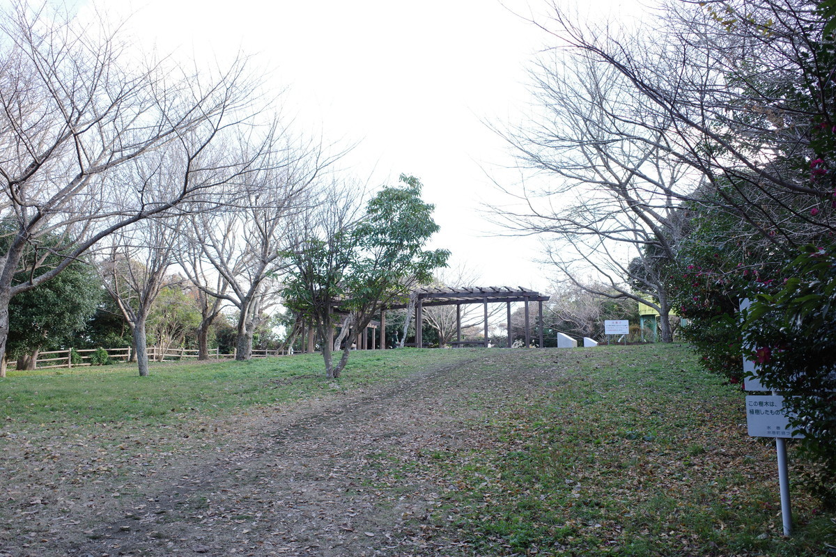 f:id:Yagyu8bei:20211222150328j:plain