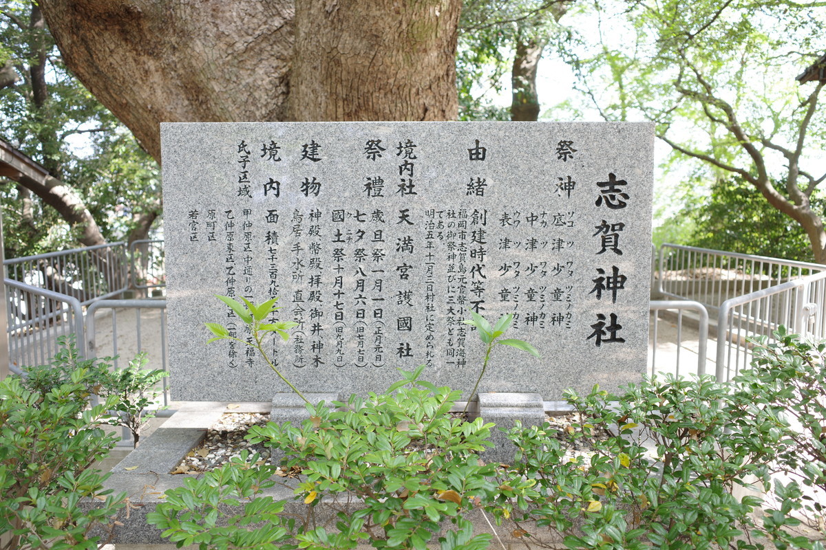 f:id:Yagyu8bei:20220410100903j:plain