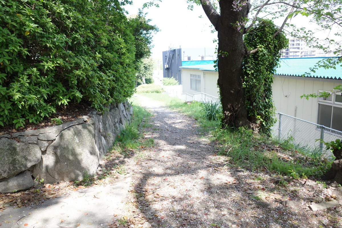 f:id:Yagyu8bei:20220410104155j:plain