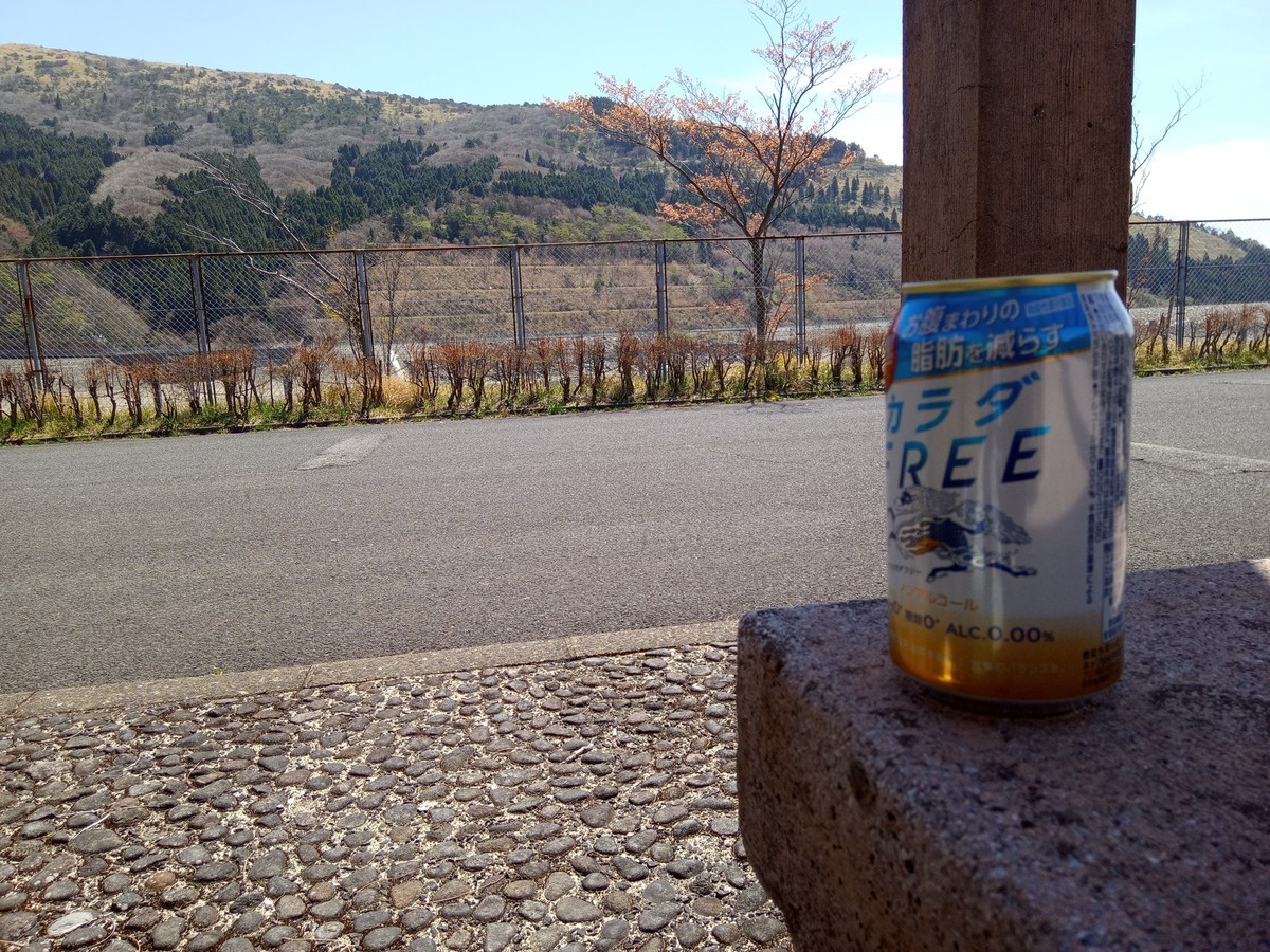 f:id:Yagyu8bei:20220410200143j:plain