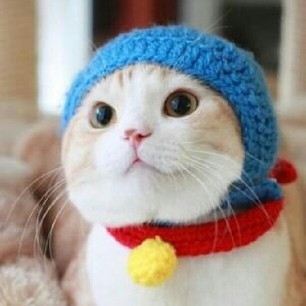 f:id:Yaju3D:20130331175500j:plain f:id:Yaju3D:20130331175500j:plain