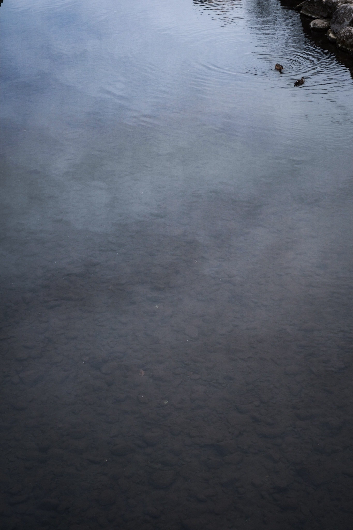 f:id:Yamadamado:20210118012708j:image