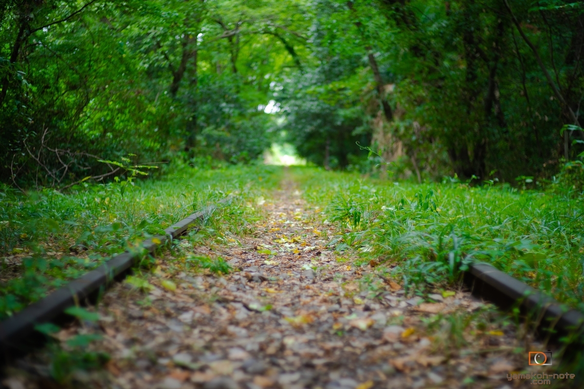 f:id:Yamakoh:20200812011902j:plain