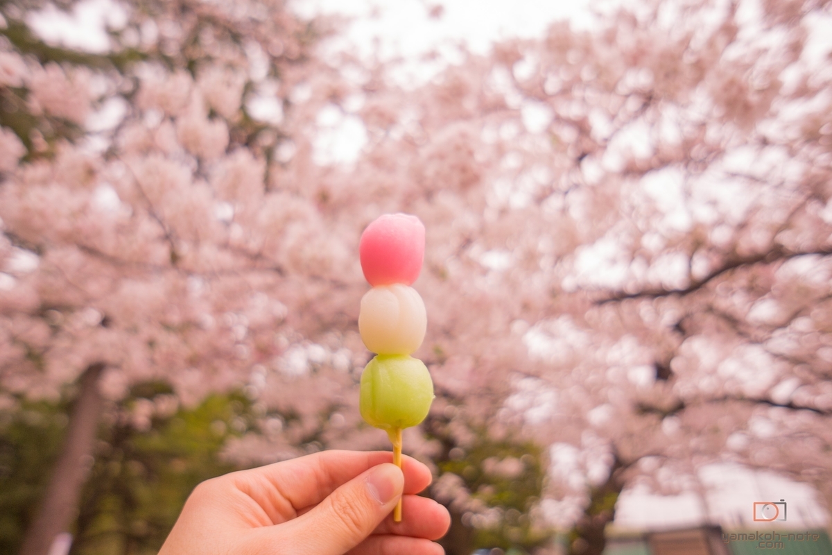 f:id:Yamakoh:20200812011911j:plain