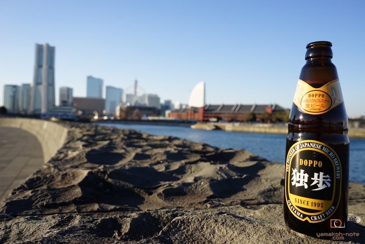 f:id:Yamakoh:20200812011919j:plain