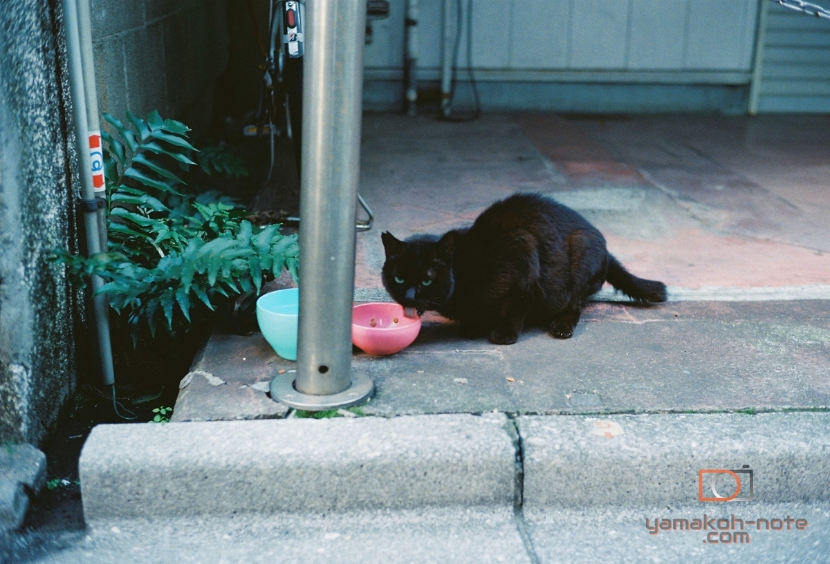 f:id:Yamakoh:20201231163955j:plain