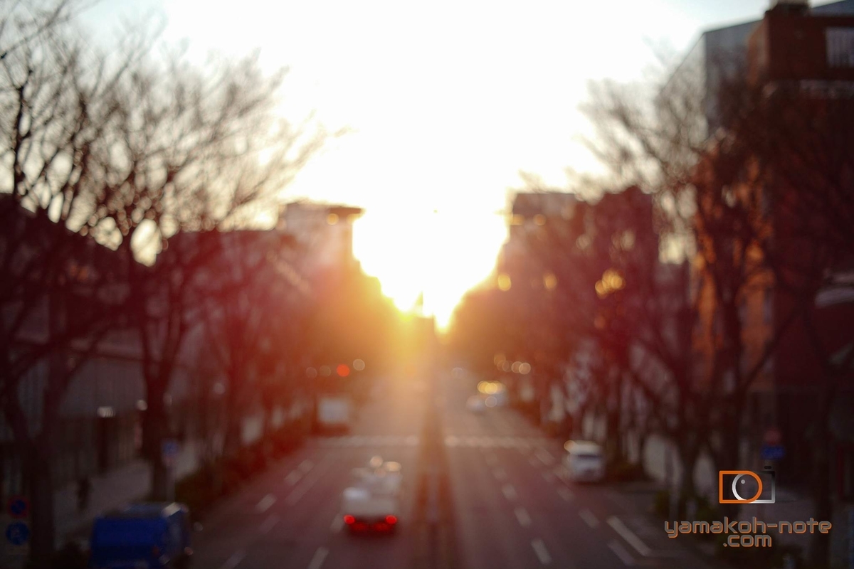 f:id:Yamakoh:20210812115458j:plain