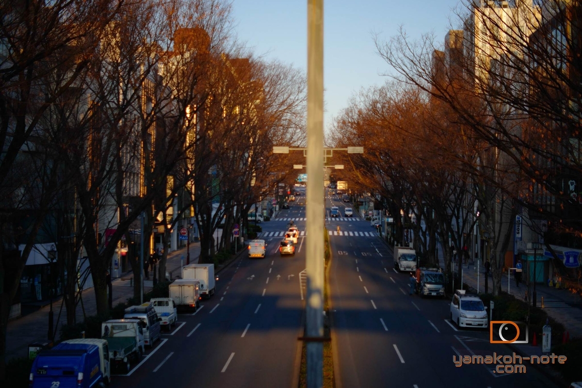 f:id:Yamakoh:20210812115905j:plain