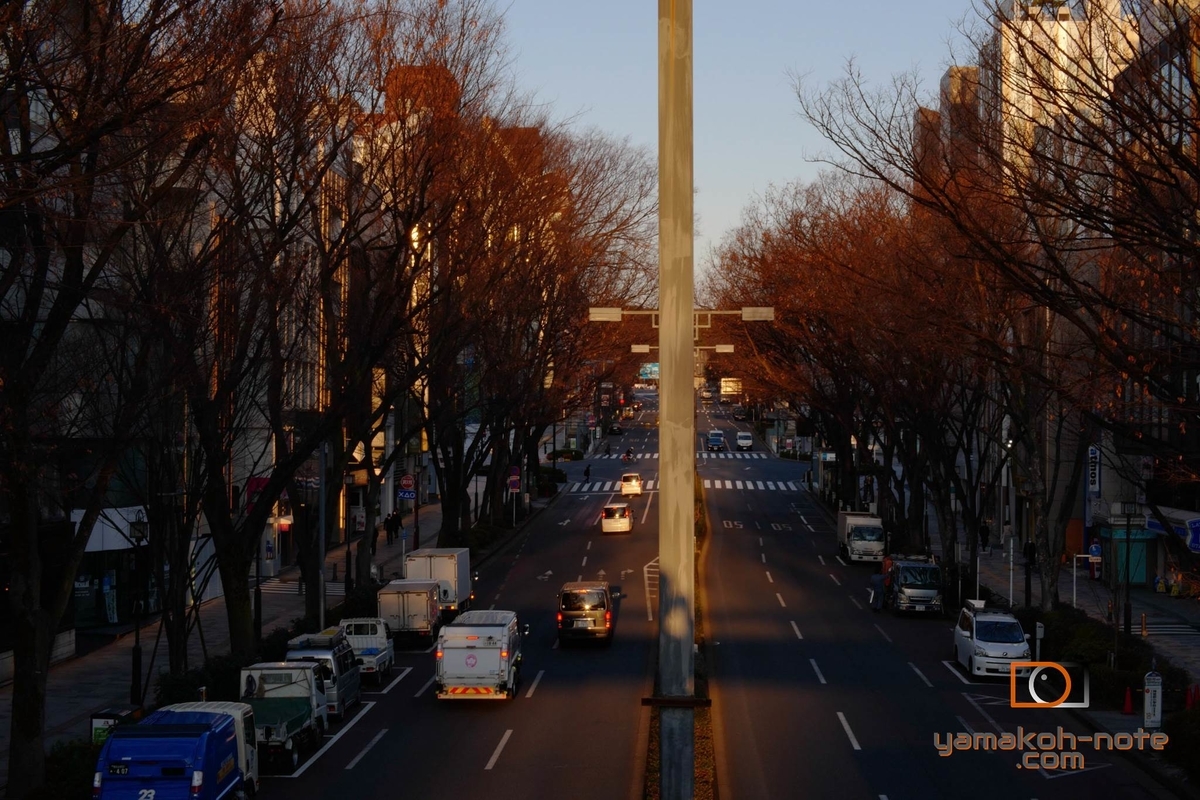 f:id:Yamakoh:20210812115929j:plain