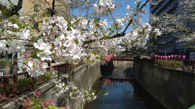 f:id:Yamalin:20240425211603j:image