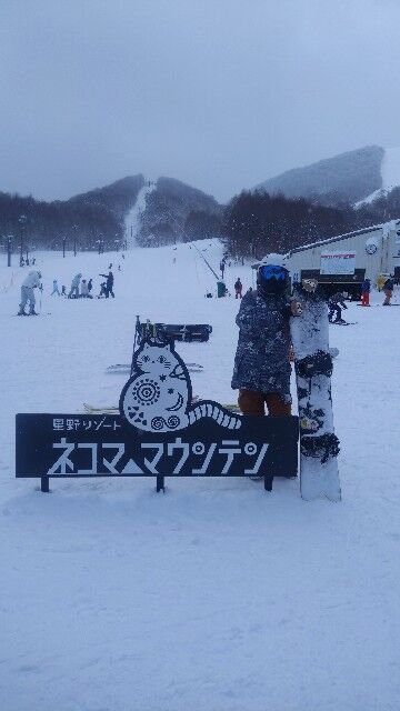 f:id:Yamalin:20250129145559j:image