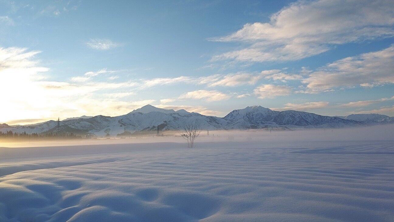 f:id:Yamalin:20260123113837j:image