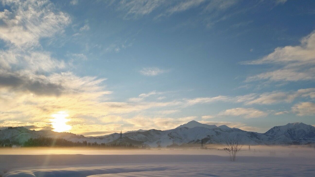 f:id:Yamalin:20260123113904j:image