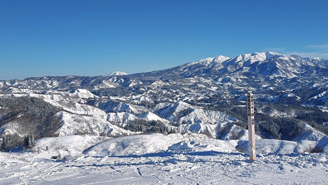 f:id:Yamalin:20260123113932j:image