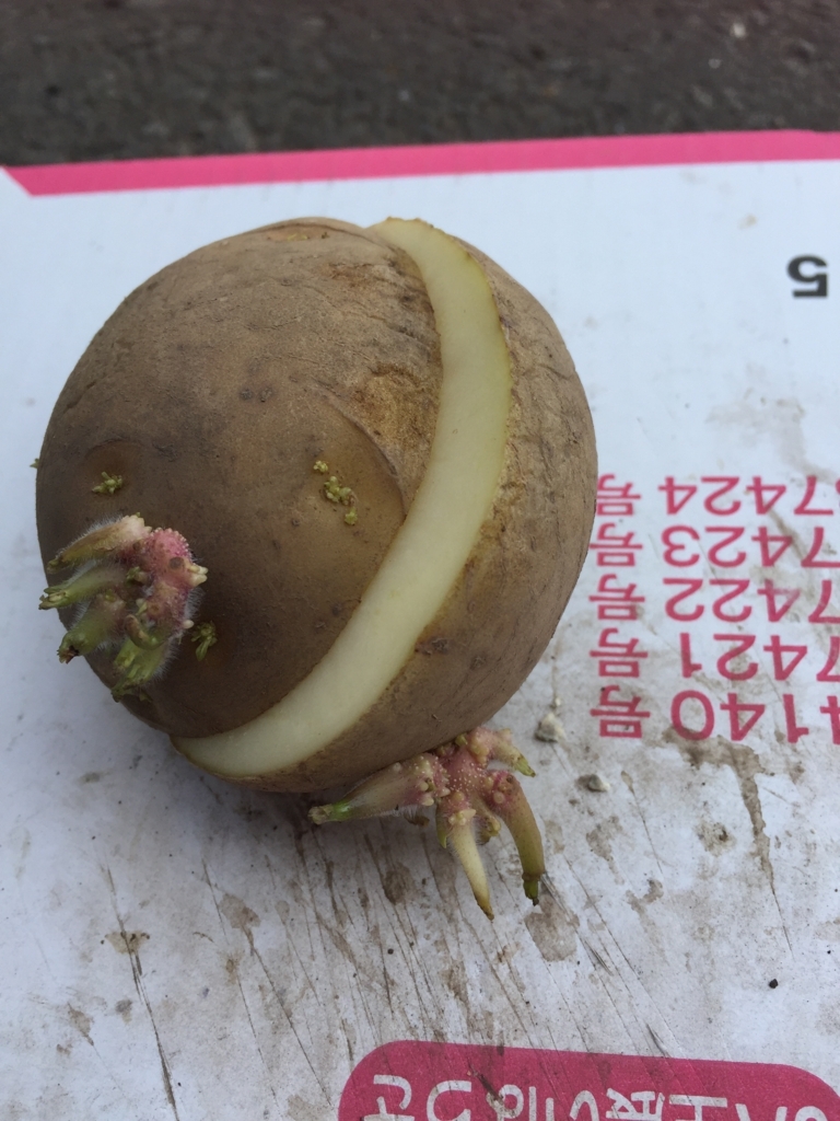 f:id:Yamanao:20180329210954j:plain f:id:Yamanao:20180329210954j:plain