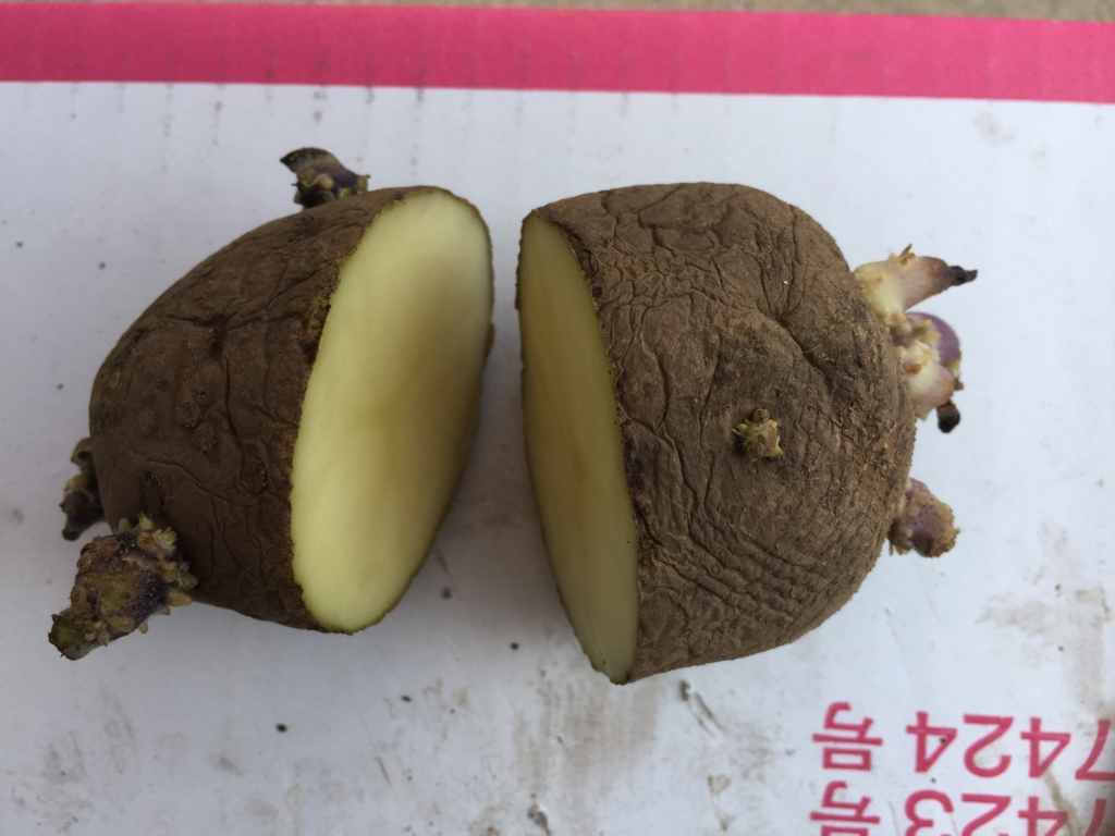 f:id:Yamanao:20180329211034j:plain f:id:Yamanao:20180329211034j:plain