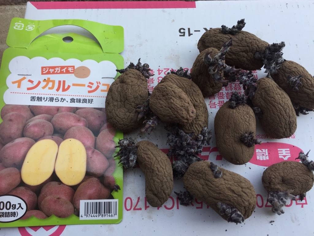 f:id:Yamanao:20180331044938j:plain f:id:Yamanao:20180331044938j:plain