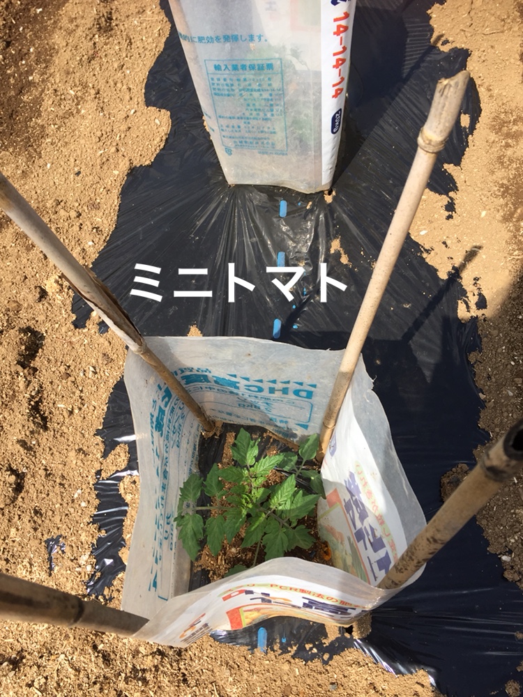 f:id:Yamanao:20180429003909j:plain f:id:Yamanao:20180429003909j:plain