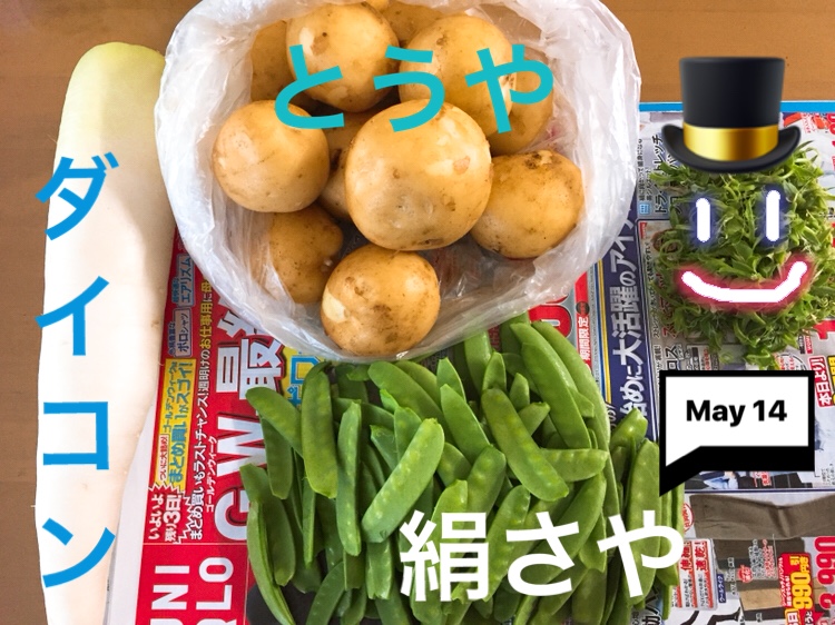 f:id:Yamanao:20180514032841j:plain f:id:Yamanao:20180514032841j:plain