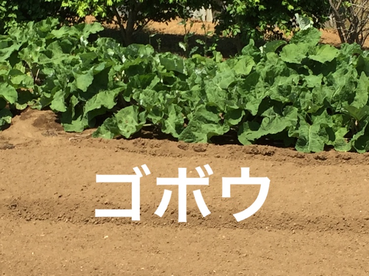 f:id:Yamanao:20180514110248j:plain f:id:Yamanao:20180514110248j:plain