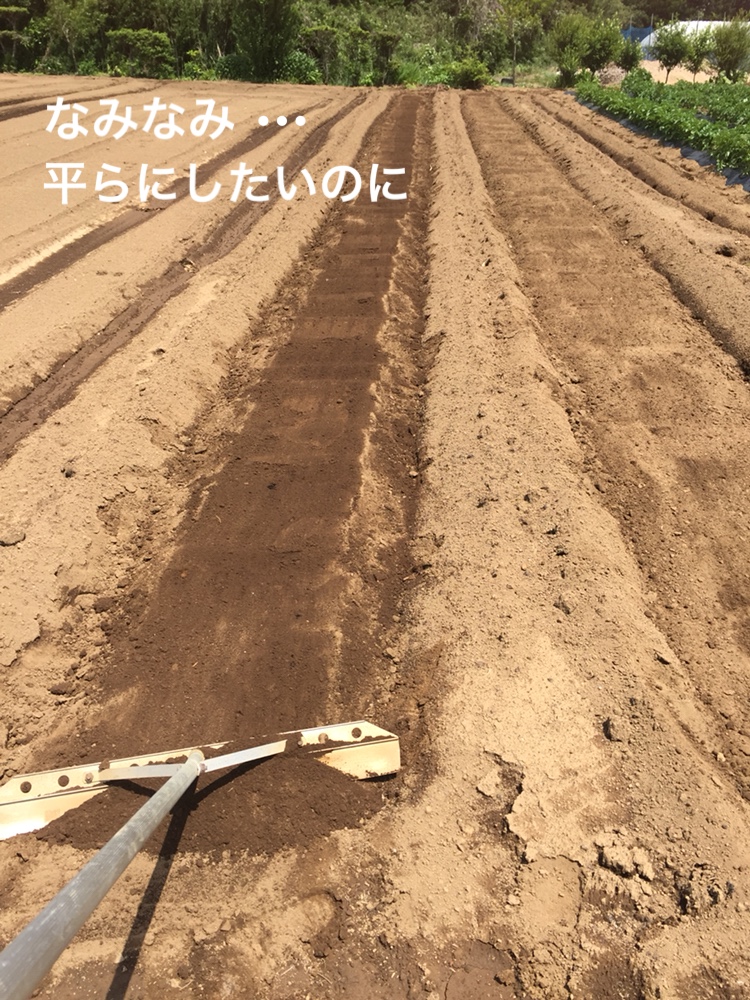 f:id:Yamanao:20180517231858j:plain f:id:Yamanao:20180517231858j:plain