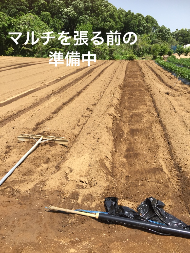 f:id:Yamanao:20180517231909j:plain f:id:Yamanao:20180517231909j:plain