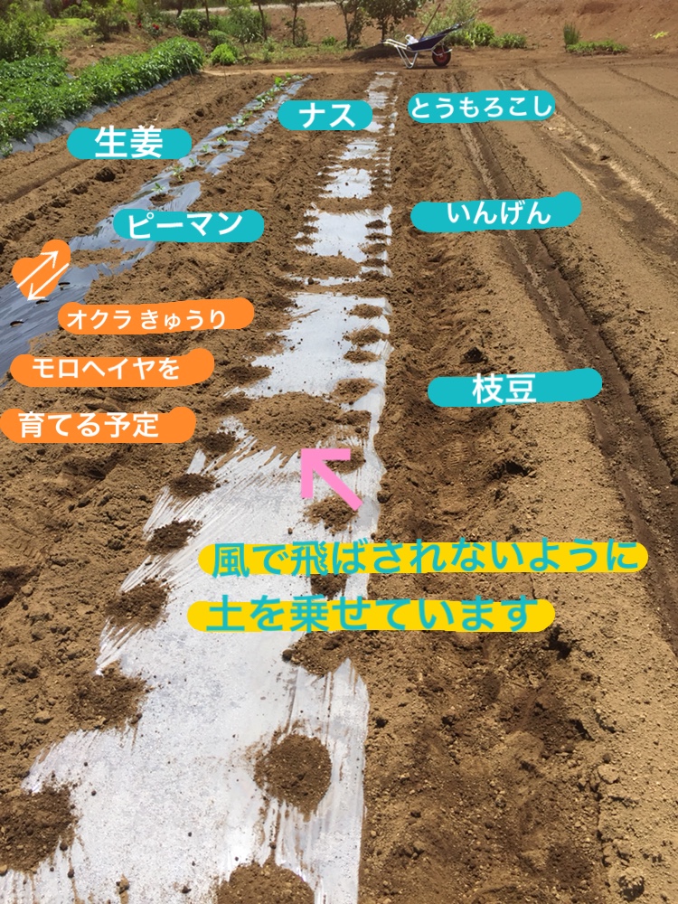 f:id:Yamanao:20180517231932j:plain f:id:Yamanao:20180517231932j:plain