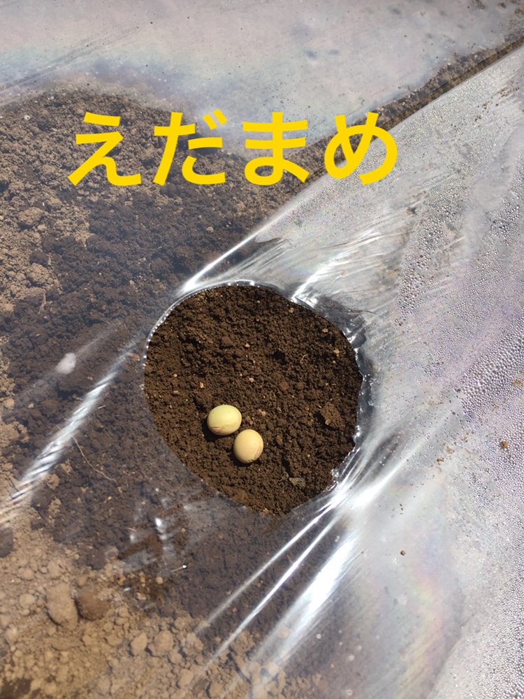 f:id:Yamanao:20180517231954j:plain f:id:Yamanao:20180517231954j:plain