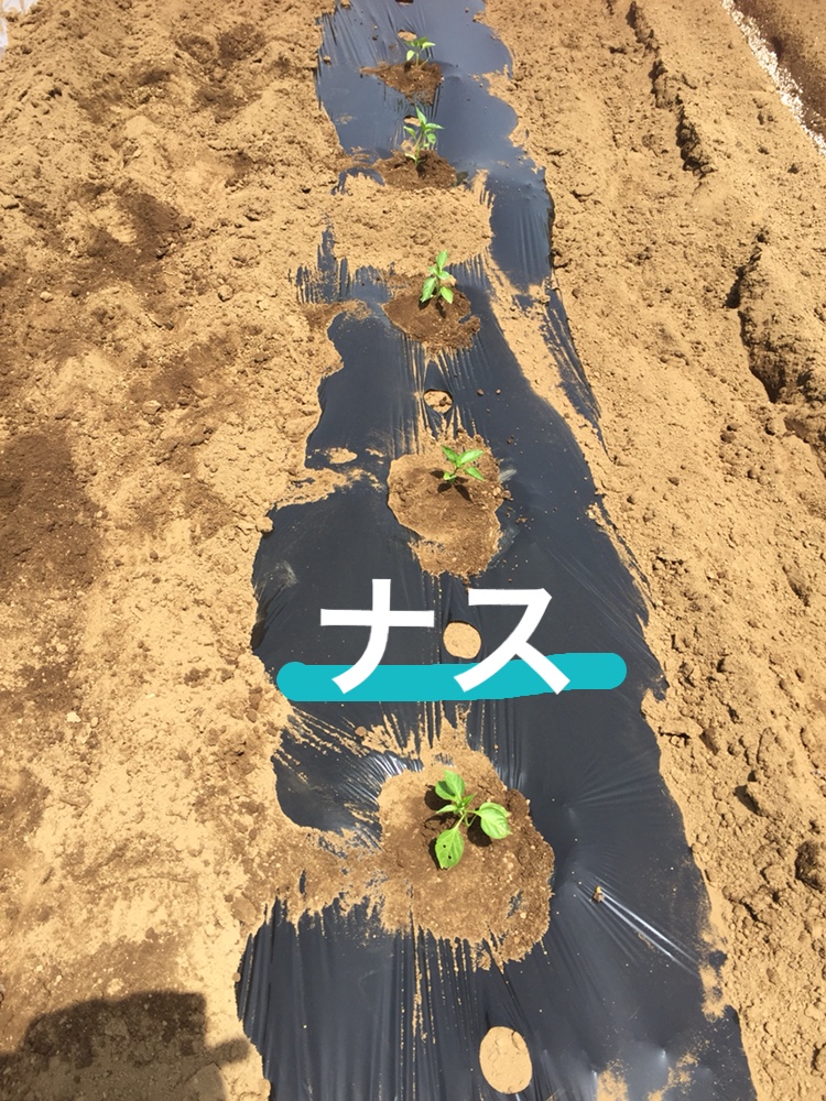 f:id:Yamanao:20180518000206j:plain f:id:Yamanao:20180518000206j:plain