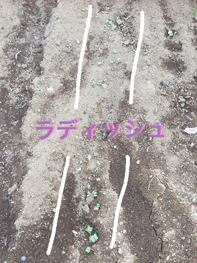 f:id:Yamanao:20180519190414j:plain f:id:Yamanao:20180519190414j:plain