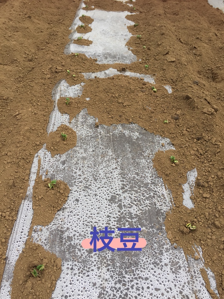 f:id:Yamanao:20180525130503j:plain f:id:Yamanao:20180525130503j:plain